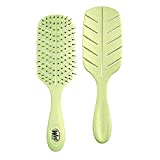 Wetbrush - Cepillo destricanador Go Green biodegradable, 120 g
